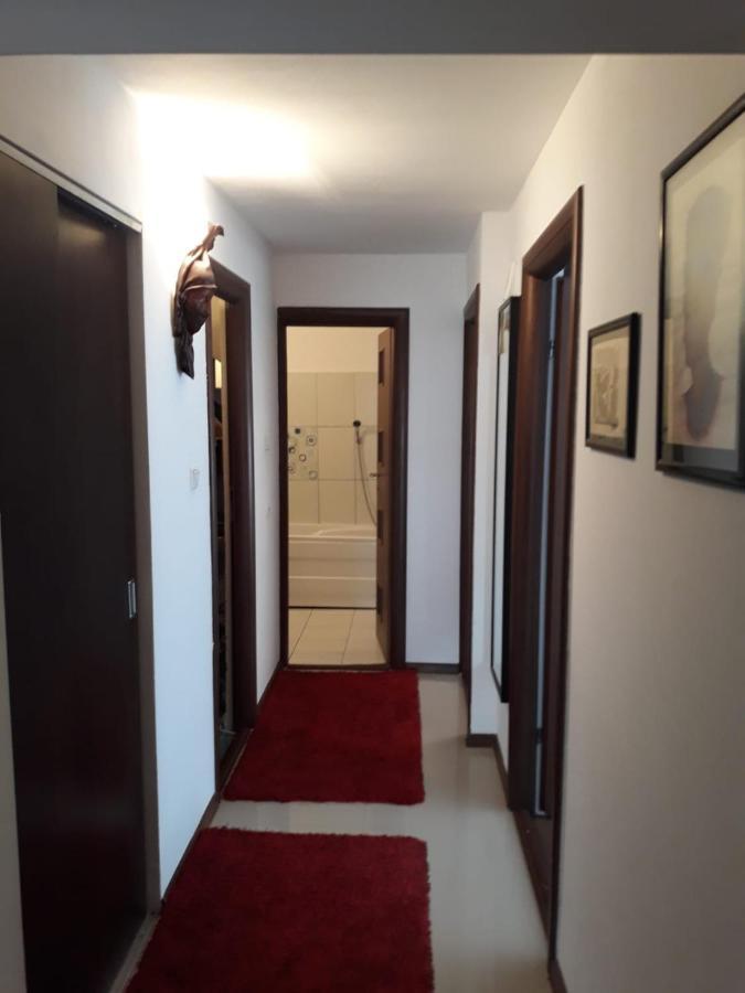 Apartament Alexe 데포리노드 외부 사진