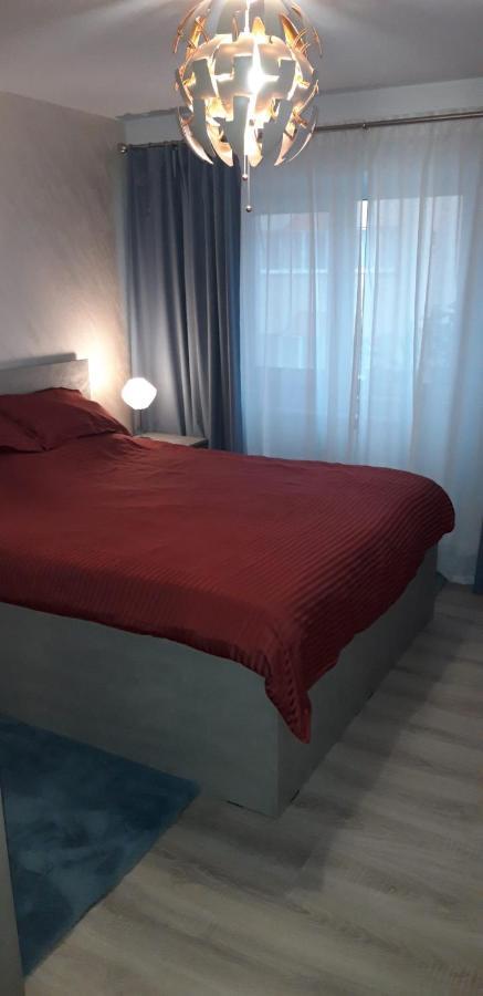 Apartament Alexe 데포리노드 외부 사진